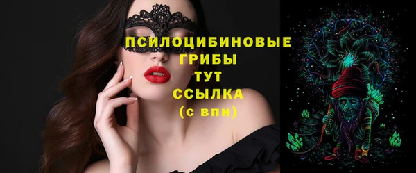 ПСИЛОЦИБИНОВЫЕ ГРИБЫ Алзамай