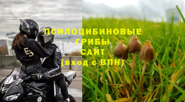 дурь Алексеевка