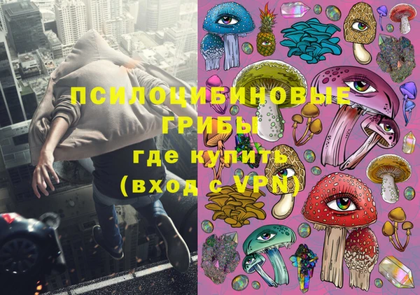 ПСИЛОЦИБИНОВЫЕ ГРИБЫ Алзамай