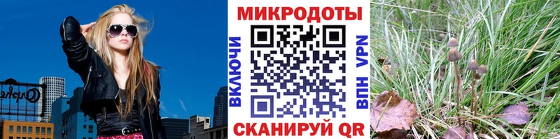 hydra ONION  как найти   Саранск  Галлюциногенные грибы MAGIC MUSHROOMS 