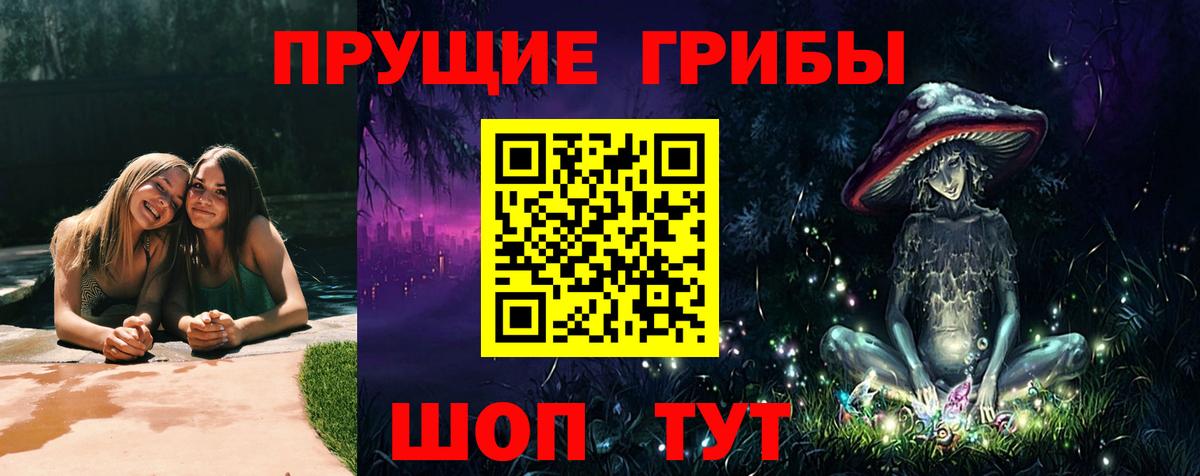 где найти   Галлюциногенные грибы GOLDEN TEACHER  Саранск  Вход с VPN  Псилоцибиновые грибы ЛСД 
