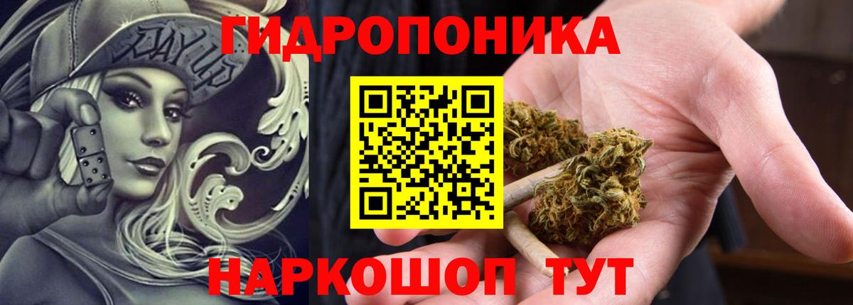 Саранск  Марихуана планчик  МАРИХУАНА индика  Вход с VPN  Конопля LSD WEED  Каннабис Bruce Banner 
